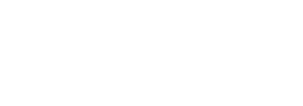 Litton Media
